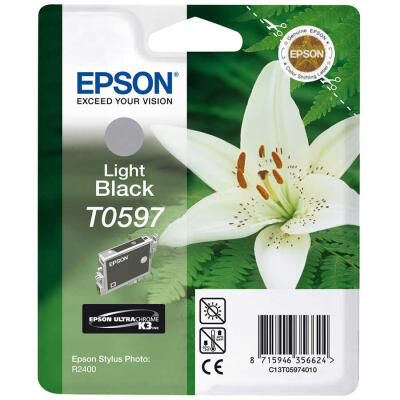 Epson T0597-C13T05974020 Açık Siyah Orijinal Kartuş R2400